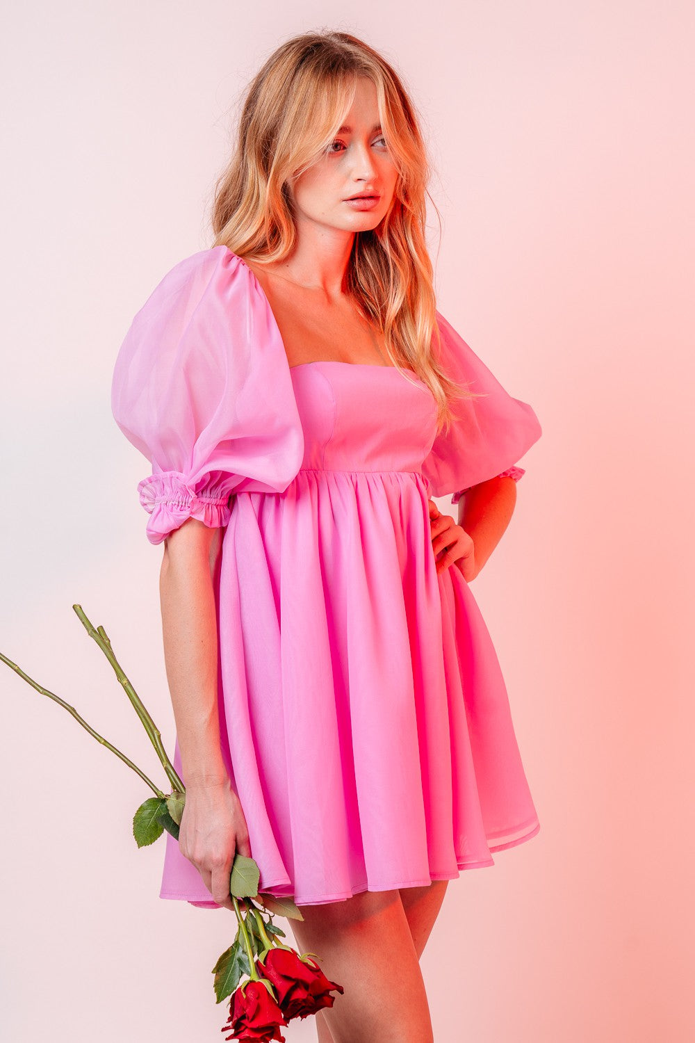 Blushing Rose Dress