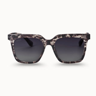 Dani - Grey Cheetah