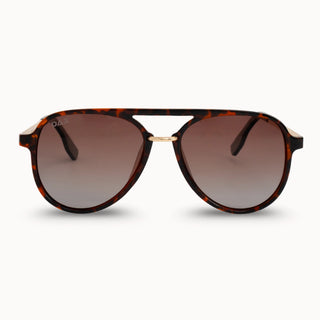 Earhart - Cheetah