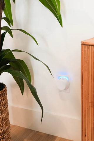 PURA + Bridgewater Smart Home Diffuser Set with Sweet Grace and Afternoon Retreat