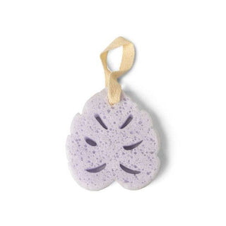 In The Buff Super Sudsy Soap Sponge