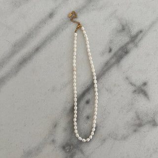 Everyday Pearl Necklace